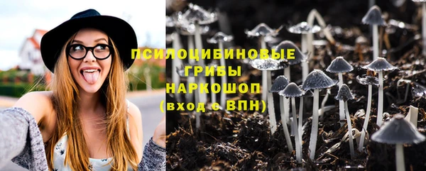 твердый Нягань