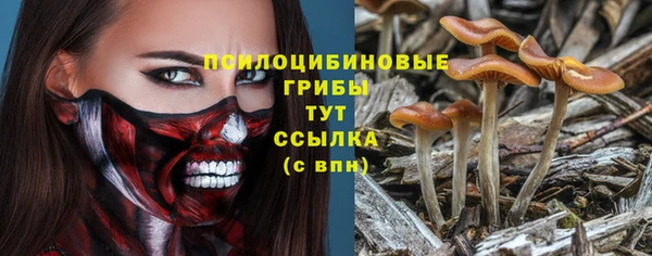 твердый Нягань
