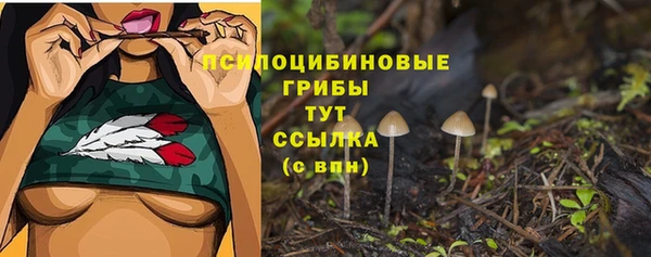 mix Нязепетровск